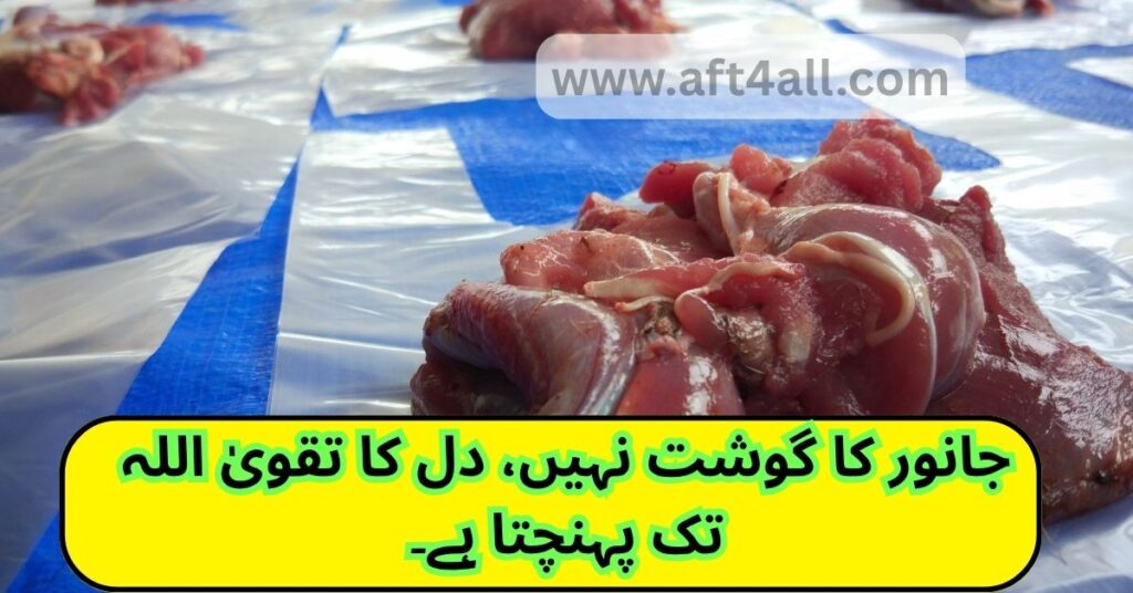 Meaningful Islamic quote in Roman Urdu about understanding the spirit of Qurbani


