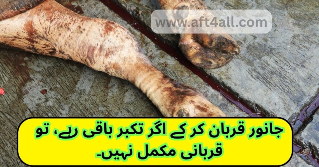 Islamic Roman Urdu quote on Eid-ul-Adha reminding the responsibility behind sacrifice

