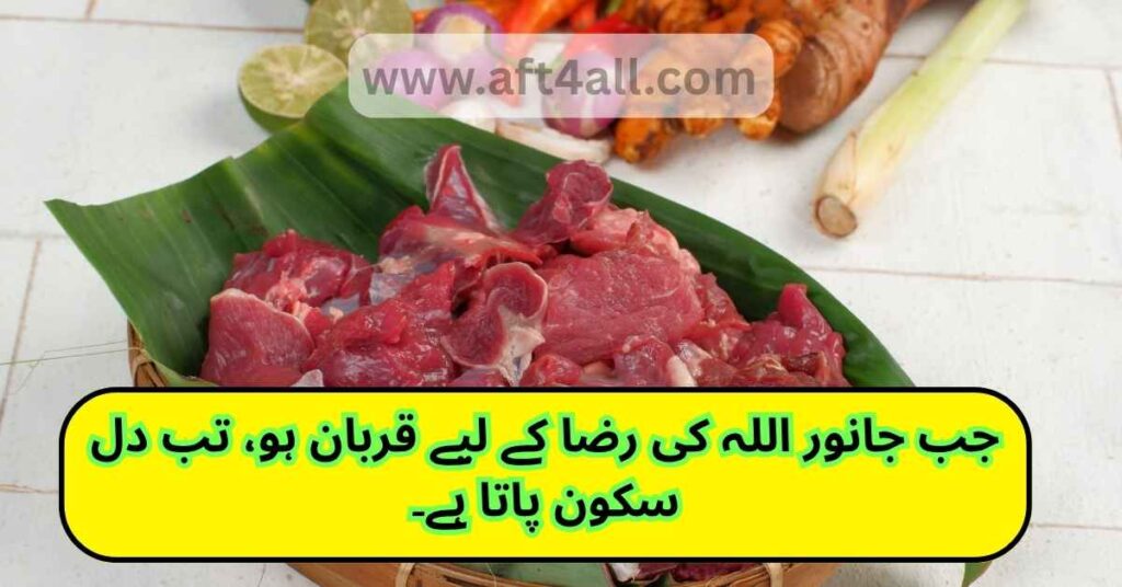 Heartfelt Eid-ul-Adha quote in Roman Urdu showing true intention behind Qurbani

