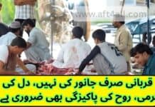 Eid-ul-Adha 2025 Quotes: Dil Se Qurbani Wale Unique Messages in Urdu, English & Roman Eid-ul-Adha Qurbani Quotes 2025