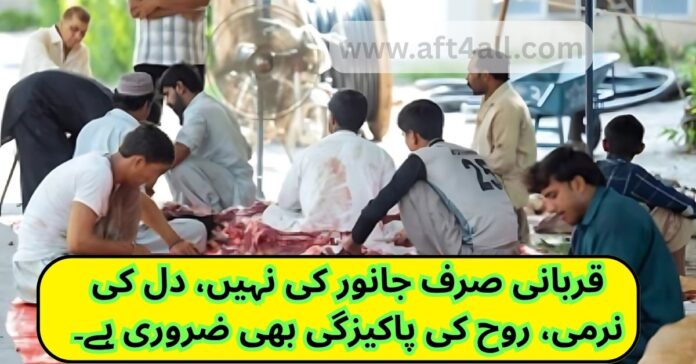 Eid-ul-Adha Qurbani Quotes 2025