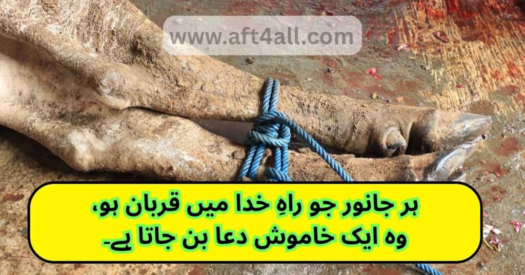 Islamic Roman Urdu quote for Eid-ul-Adha highlighting taqwa over ritual sacrifice

