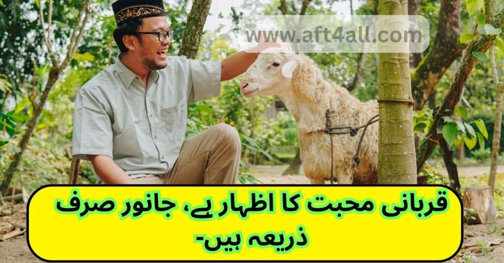 Emotional Eid-ul-Adha quote in Roman Urdu showing Qurbani as a sign of love and faith

