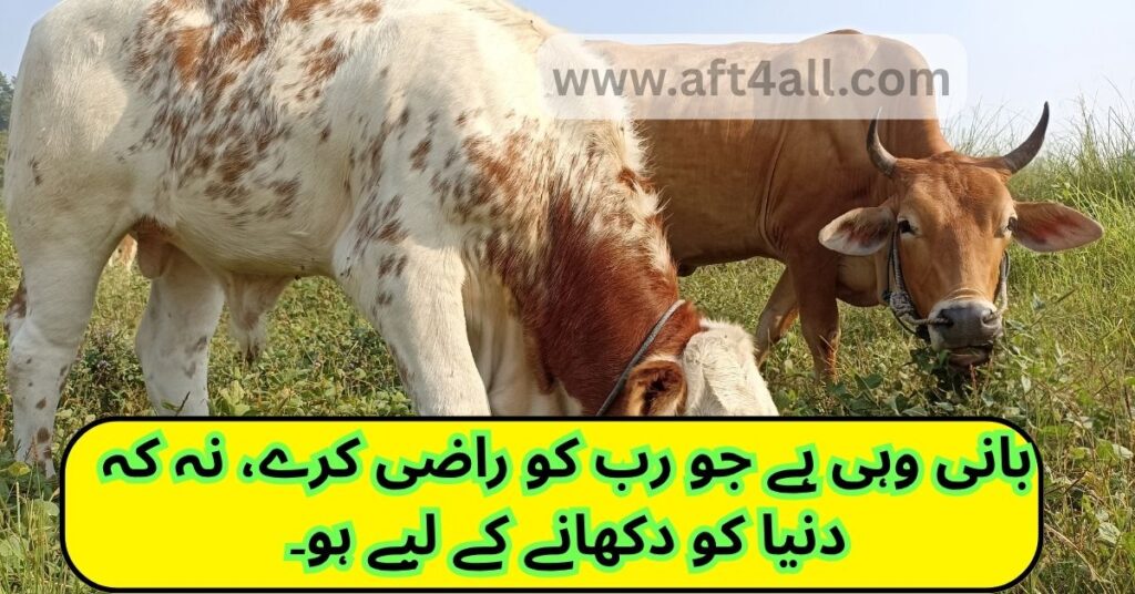 Spiritual Eid-ul-Adha quote in Roman Urdu about adding soul and sincerity to Qurbani

